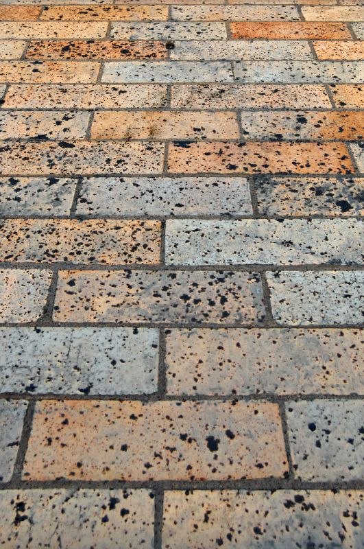 Brick Flatwork Repair in Apopka, FL
