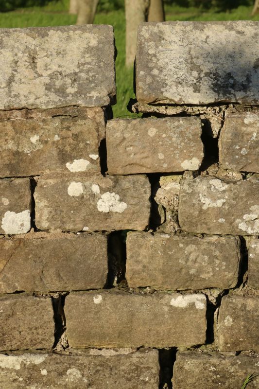 Stone Wall Repair in Maitland, FL